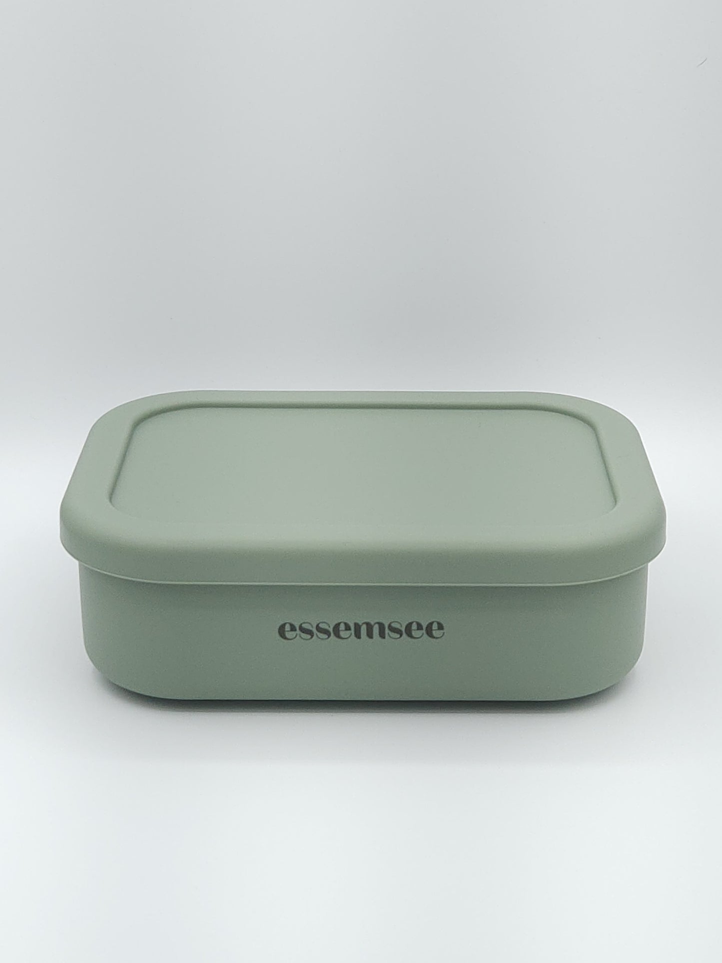 Sectional Bento Box